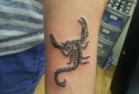 28 Scorpion Tattoos On Arm Pictures And Ideas pertaining to size 900 X 1200