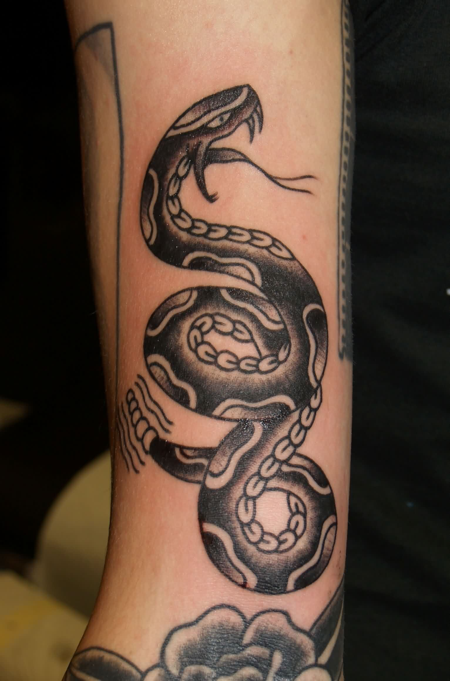 31 Snake Tattoos On Arm for size 1532 X 2321
