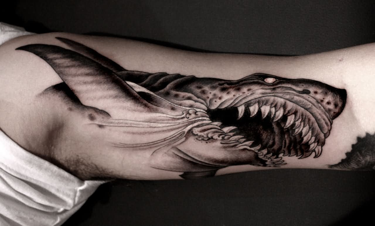 45 Best Shark Tattoos Designs On Arm throughout measurements 1280 X 772