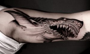 45 Best Shark Tattoos Designs On Arm with regard to size 1280 X 772