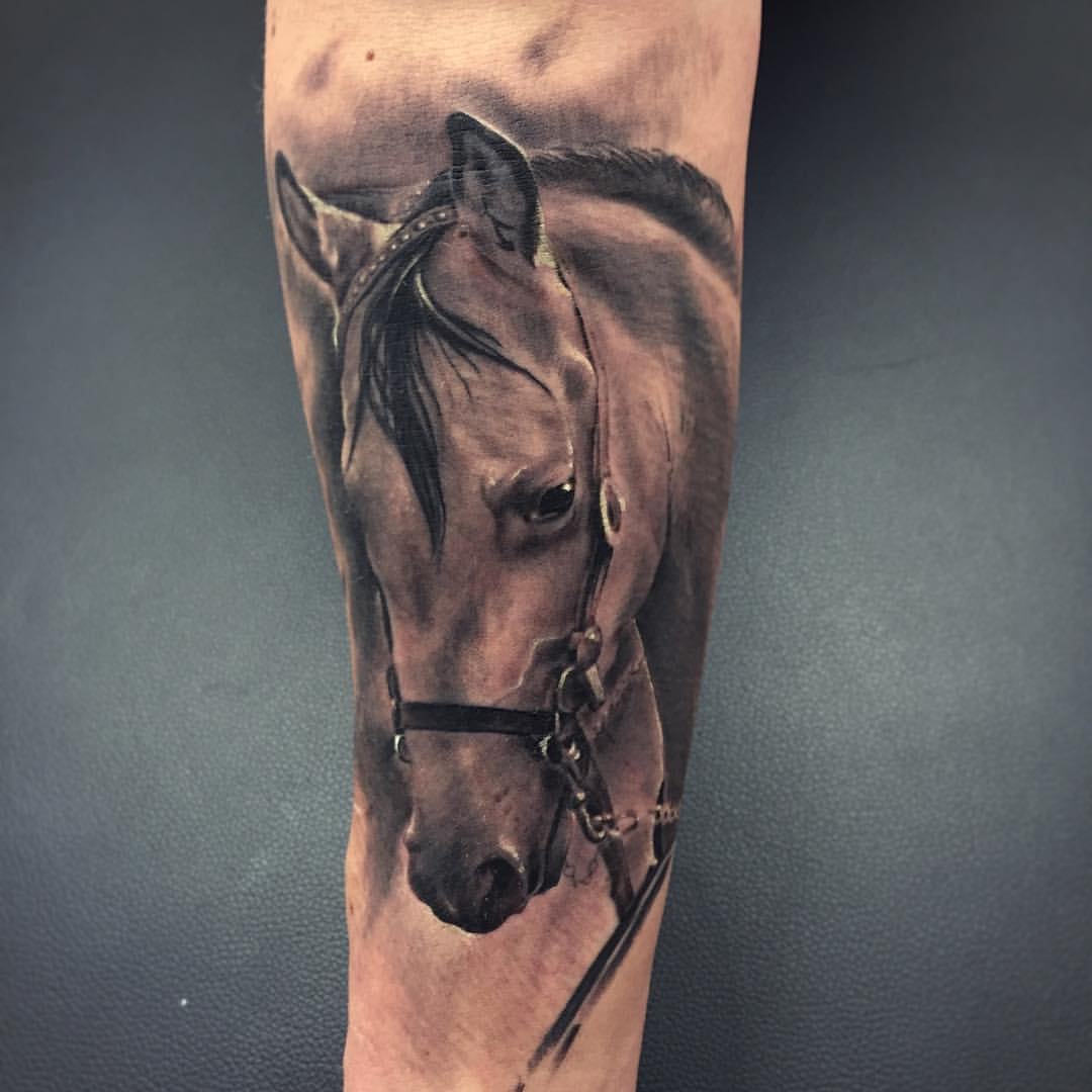 50 3d Horse Tattoos Meanings And Ideas within sizing 1080 X 1080