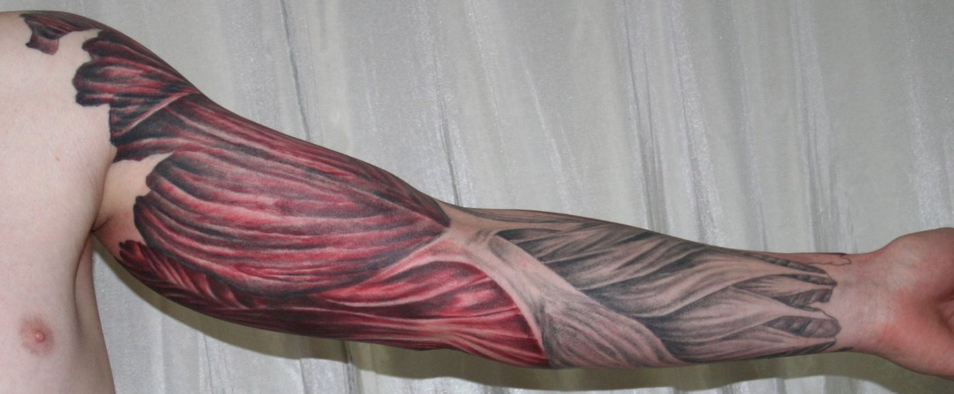 50 Amazing Muscles Tattoos regarding proportions 1391 X 575