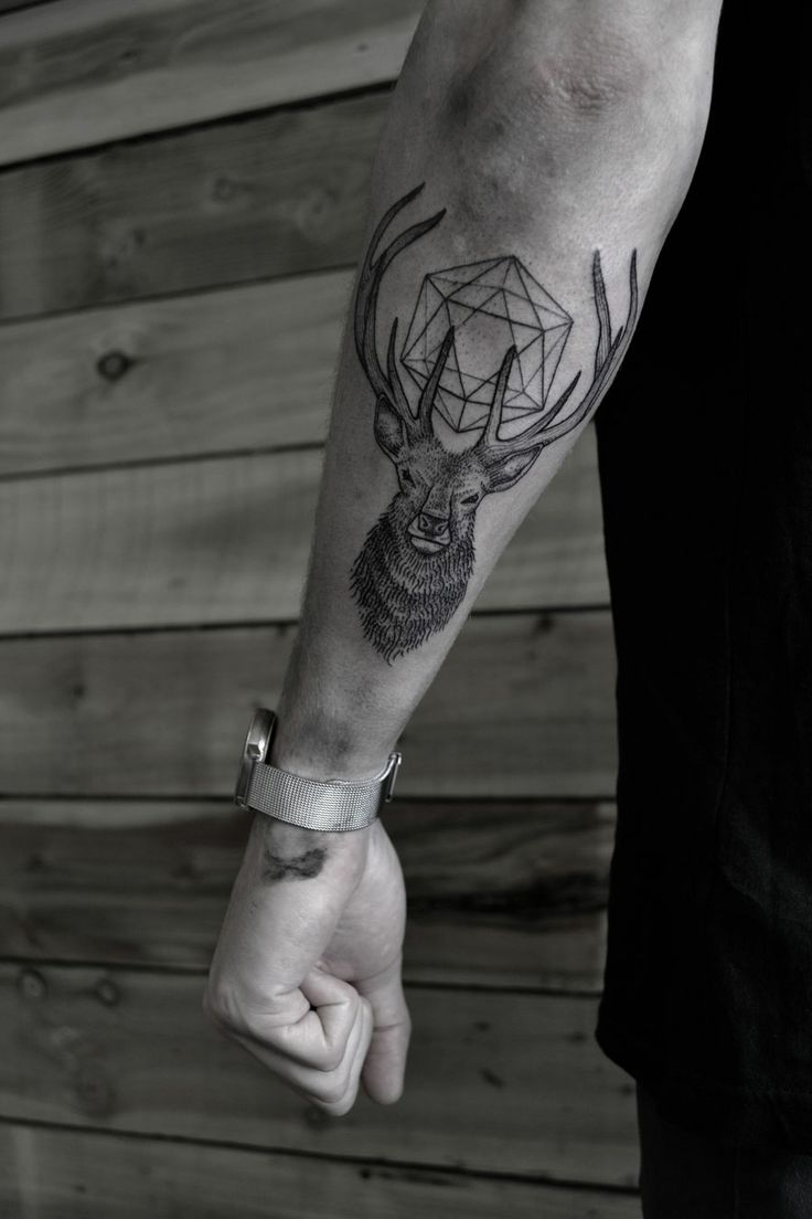 59 Best Geometric Deer Tattoos throughout proportions 736 X 1104