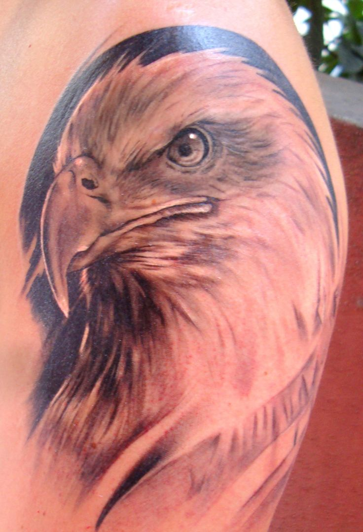 75 Best Eagle Head Tattoos Designs With Meanings inside sizing 736 X 1079