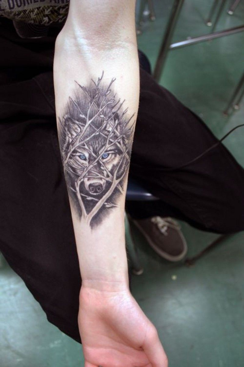 Awesome Wolf Behind Tree Branches Forearm Tattoo Tattoos regarding dimensions 800 X 1200