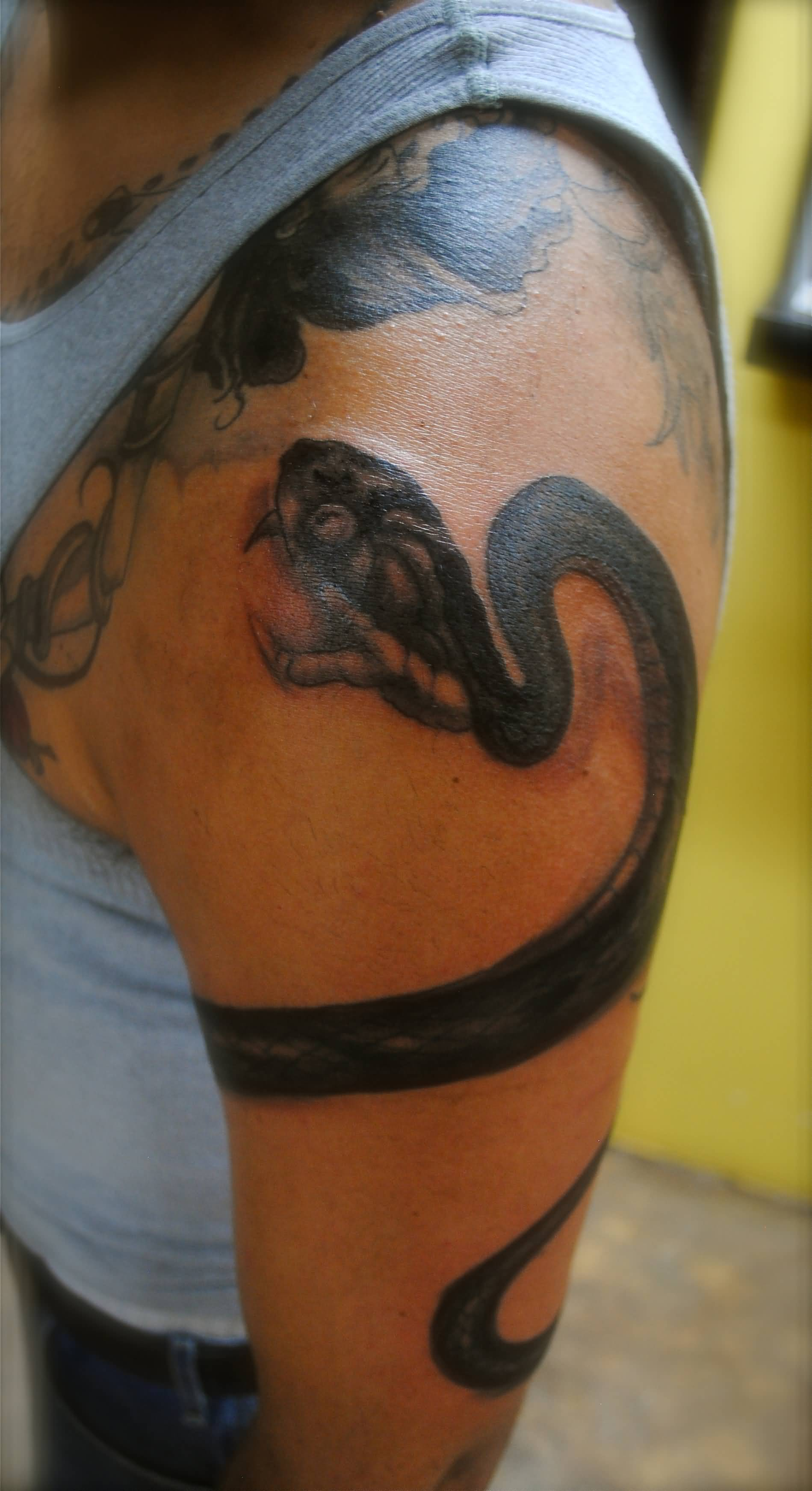 Black Ink Snake Tattoo On Man Left Wrapped Around Upper Arm in size 1899 X 3487