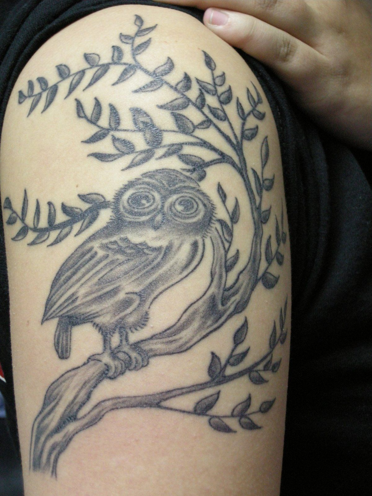 Cool Tattoos For Girls Men Owl Upper Arm Cool Tattoo Design within size 1200 X 1600