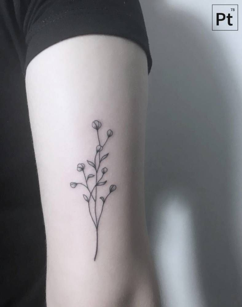 Cutelittletattoos Dry Flower Tattoos On The Back Of The Right Arm in sizing 788 X 1000