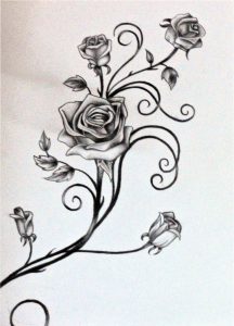 Drawings Of Vines And Leaves Roses And The Vine Rosilutfi intended for proportions 1024 X 1422