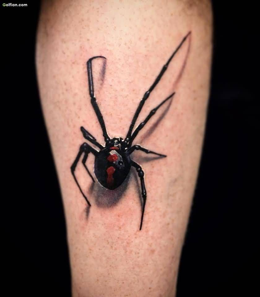 Fantastic 3d Spider Tattoo On Mans Arm 840960 Tattoos pertaining to sizing 840 X 960