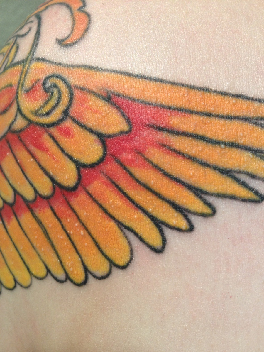 I Got My Phoenix Tattoo Colored In February And As Soon As It Healed intended for proportions 900 X 1200