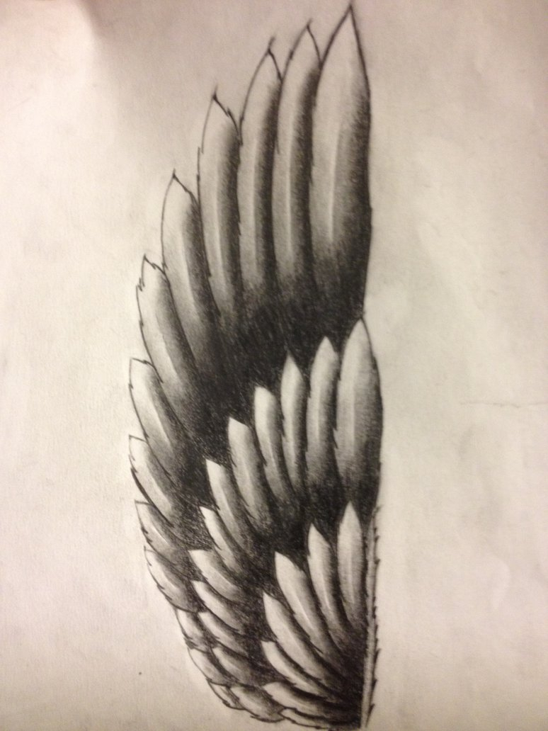 Initial Forearm Wing Tattoo Design Itsaruse On Deviantart with regard to proportions 774 X 1032