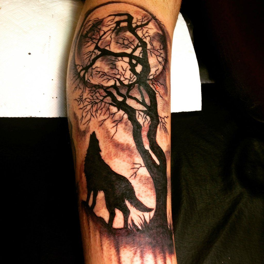 Lone Wolf Tattoo Lone Wolf Done Dr Gil Tattoo Odyssey Philadelphia with regard to dimensions 1024 X 1024