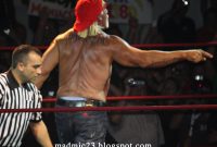 Madmic23 Hulk Hogan Immortal Back Tattoo throughout sizing 1600 X 1179