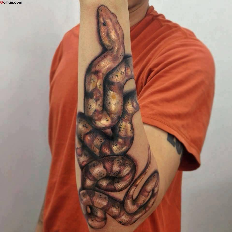 Mind Blowing 3d Snake Tattoo For Cool Boy Golfian pertaining to sizing 960 X 960