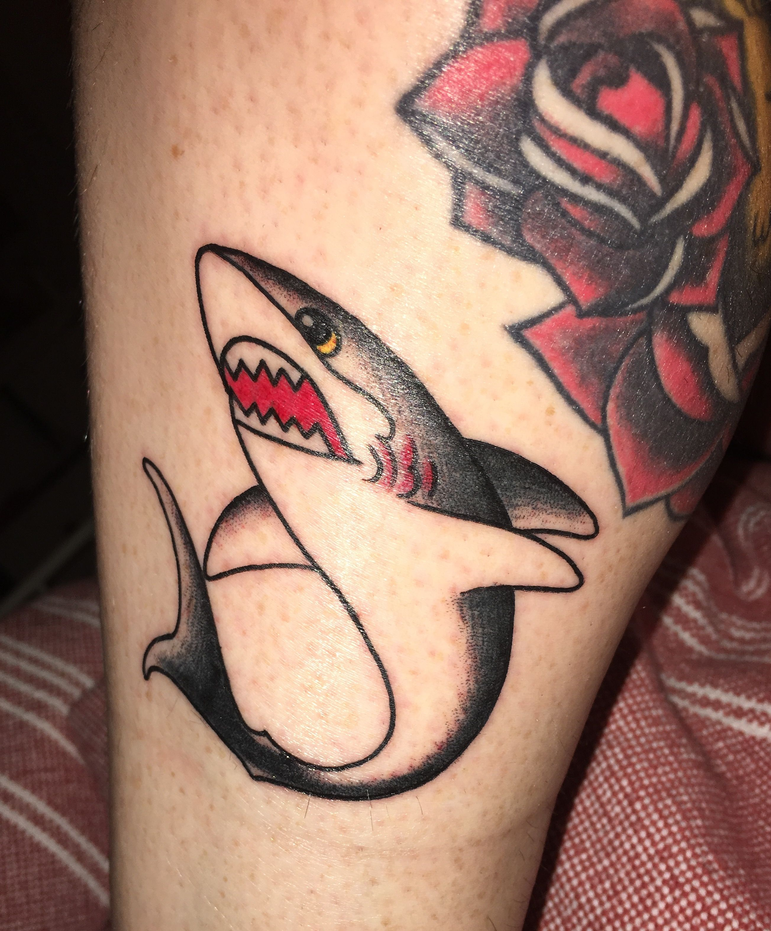 Татуировки мини акулы