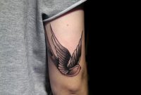 Swallow Tattoo On Arm 1000 Images About Swallow Tattoos On pertaining to proportions 774 X 1032
