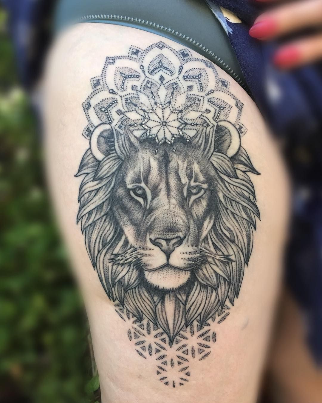 1 Month Healed More Animals Please Miletune Tatua intended for proportions 1080 X 1350