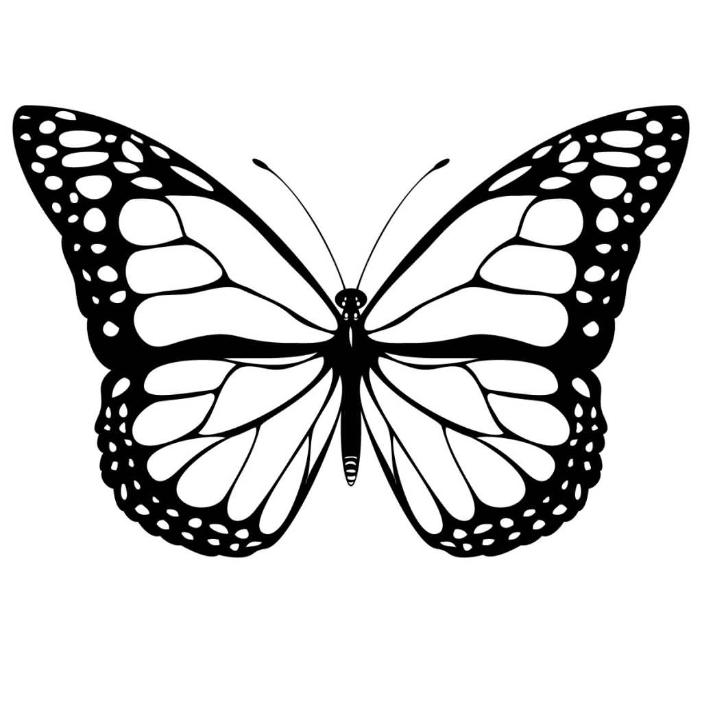 10 Impressive Butterfly Tattoo Designs Golfian in sizing 1024 X 1024