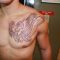 11 Griffin Chest Tattoos For Men in dimensions 1600 X 1066