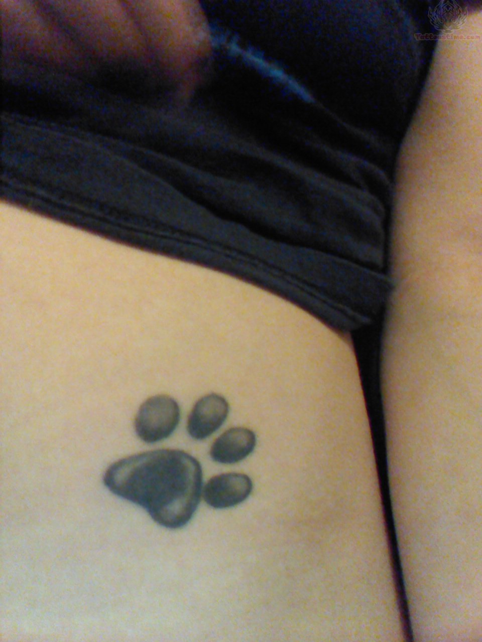 27 Cute Paw Tattoos Images throughout measurements 960 X 1280