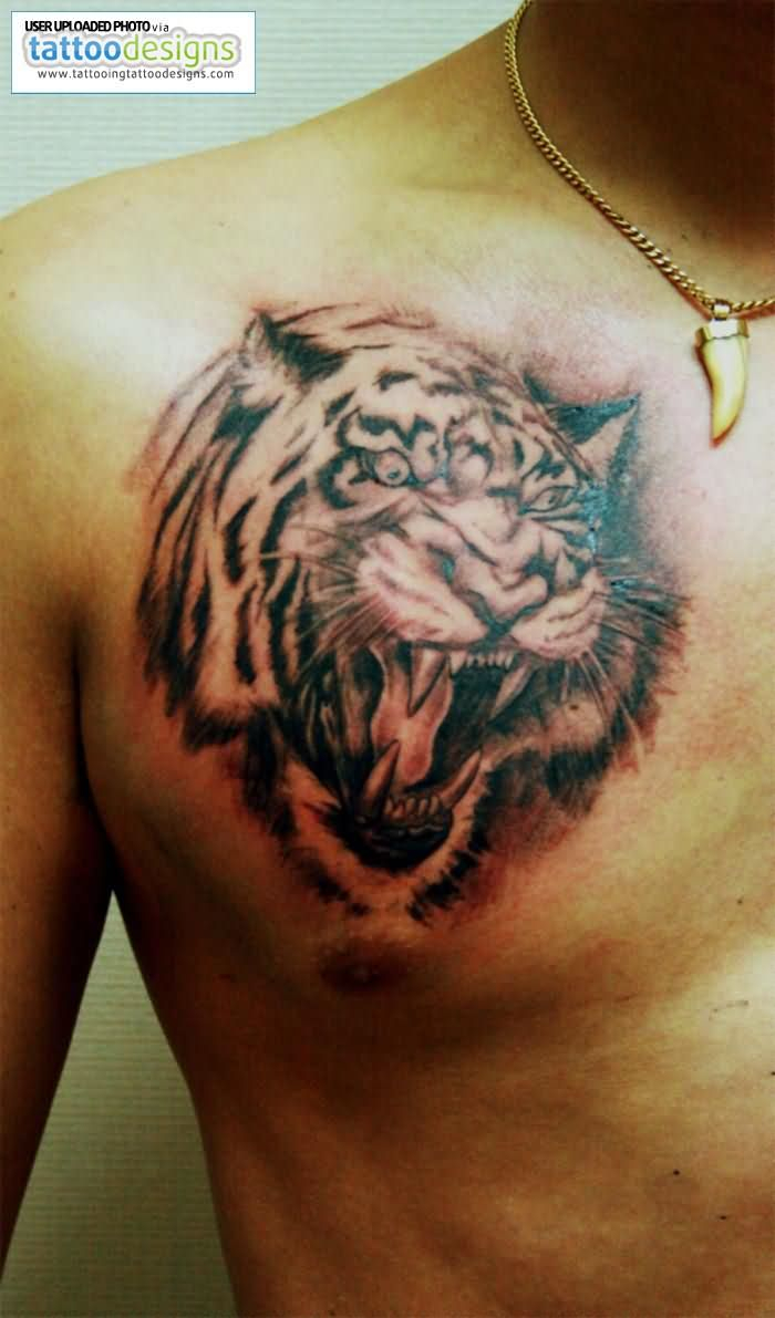 35 Tiger Tattoos Designs Ideas For Chest throughout size 700 X 1191