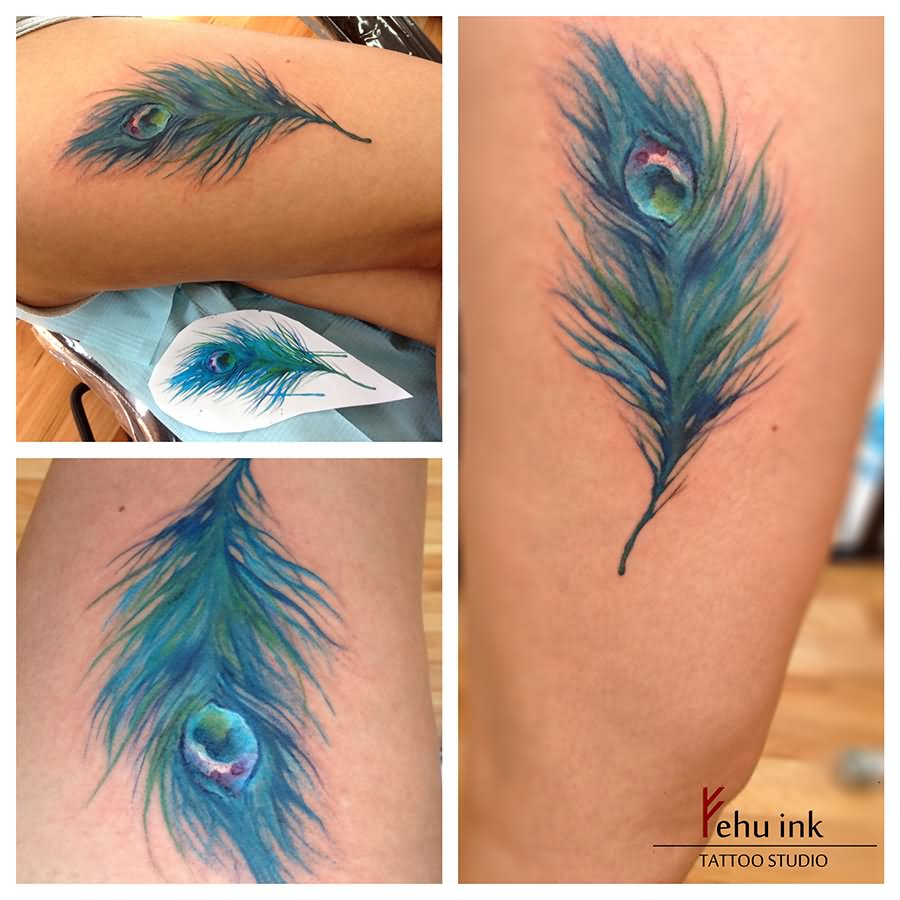 36 Peacock Feather Tattoos Designs And Pictures for dimensions 900 X 900