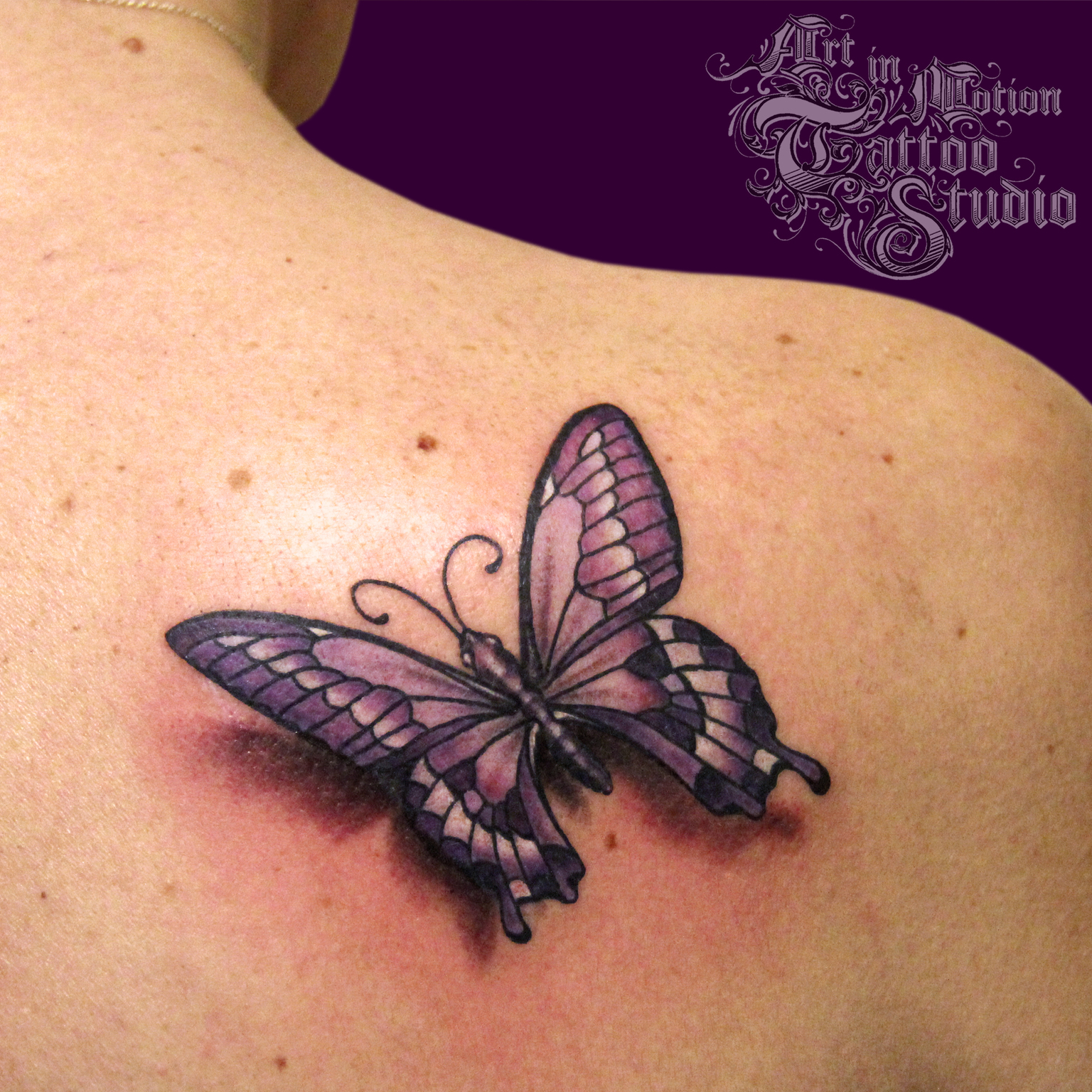 3d Butterfly Art In Motion Tattoo Studio throughout size 1536 X 1536