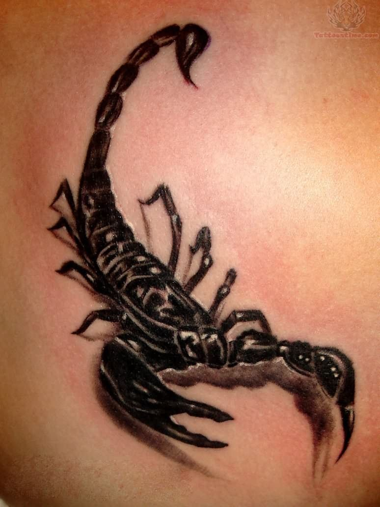 3d Scorpio Leg Tattoos Picture For Men Tattoos Zodiac Tattoos in sizing 774 X 1032