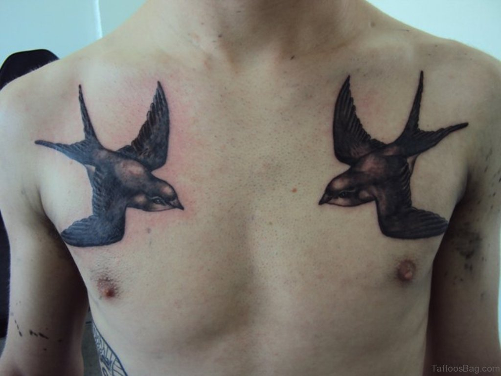50 Coolest Swallow Tattoos On Chest with measurements 1024 X 768