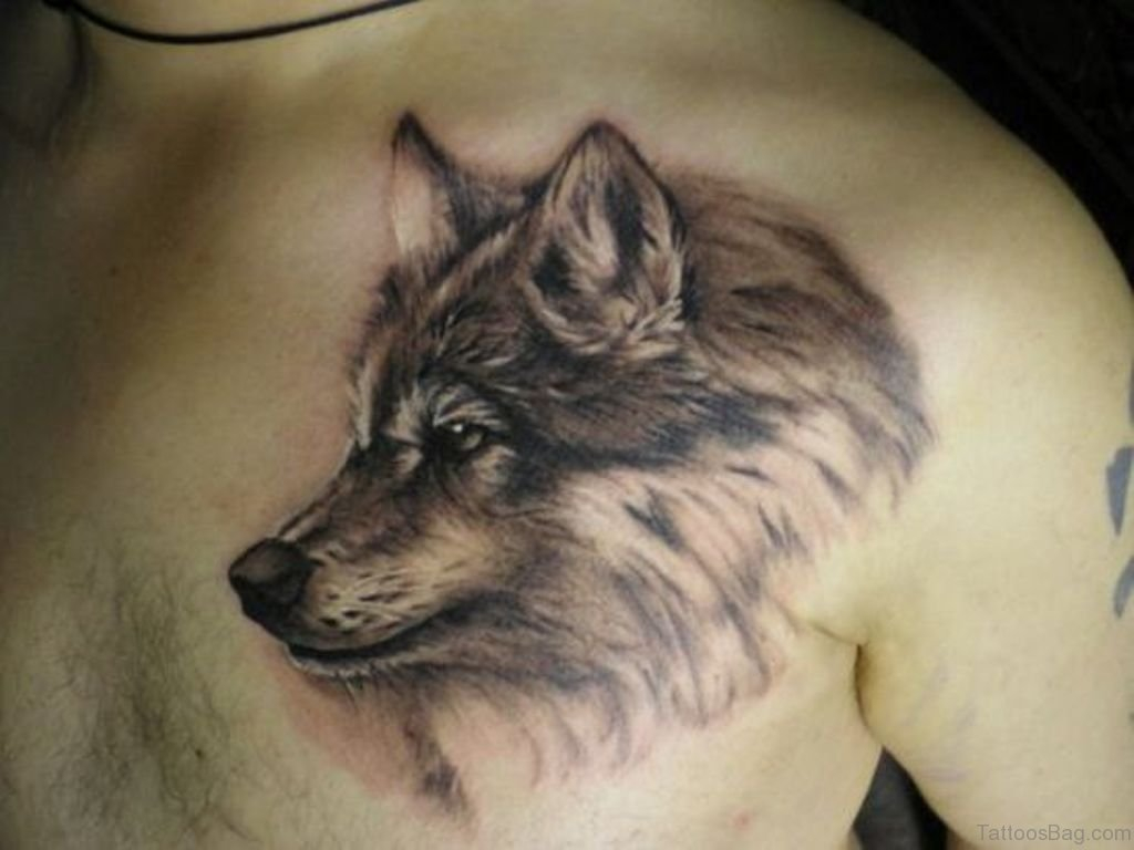 50 Excellent Wolf Tattoos For Chest inside size 1024 X 768