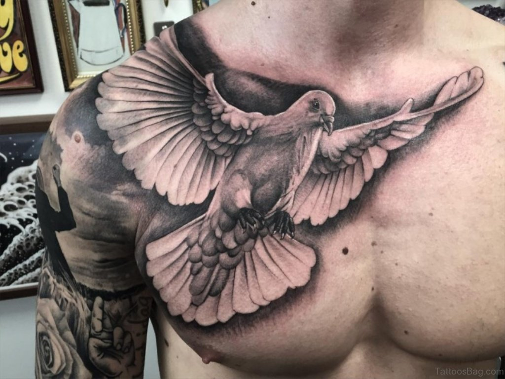 50 Fabulous Birds Tattoos On Chest intended for dimensions 1024 X 768