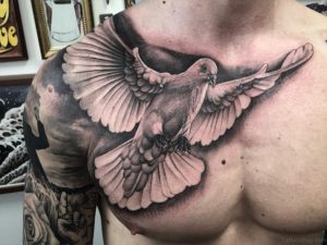 50 Fabulous Birds Tattoos On Chest within dimensions 1024 X 768