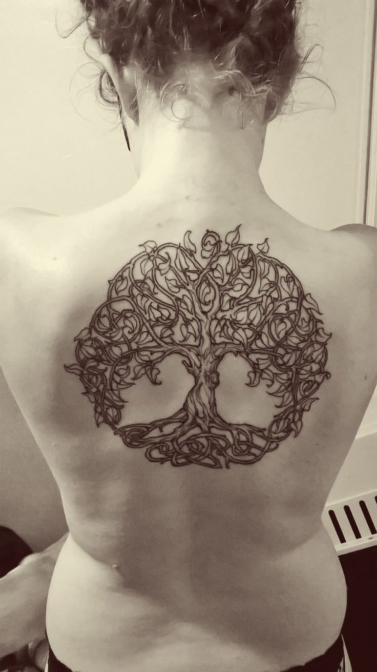 60 Tree Of Life Tattoos With Meanings intended for sizing 736 X 1310