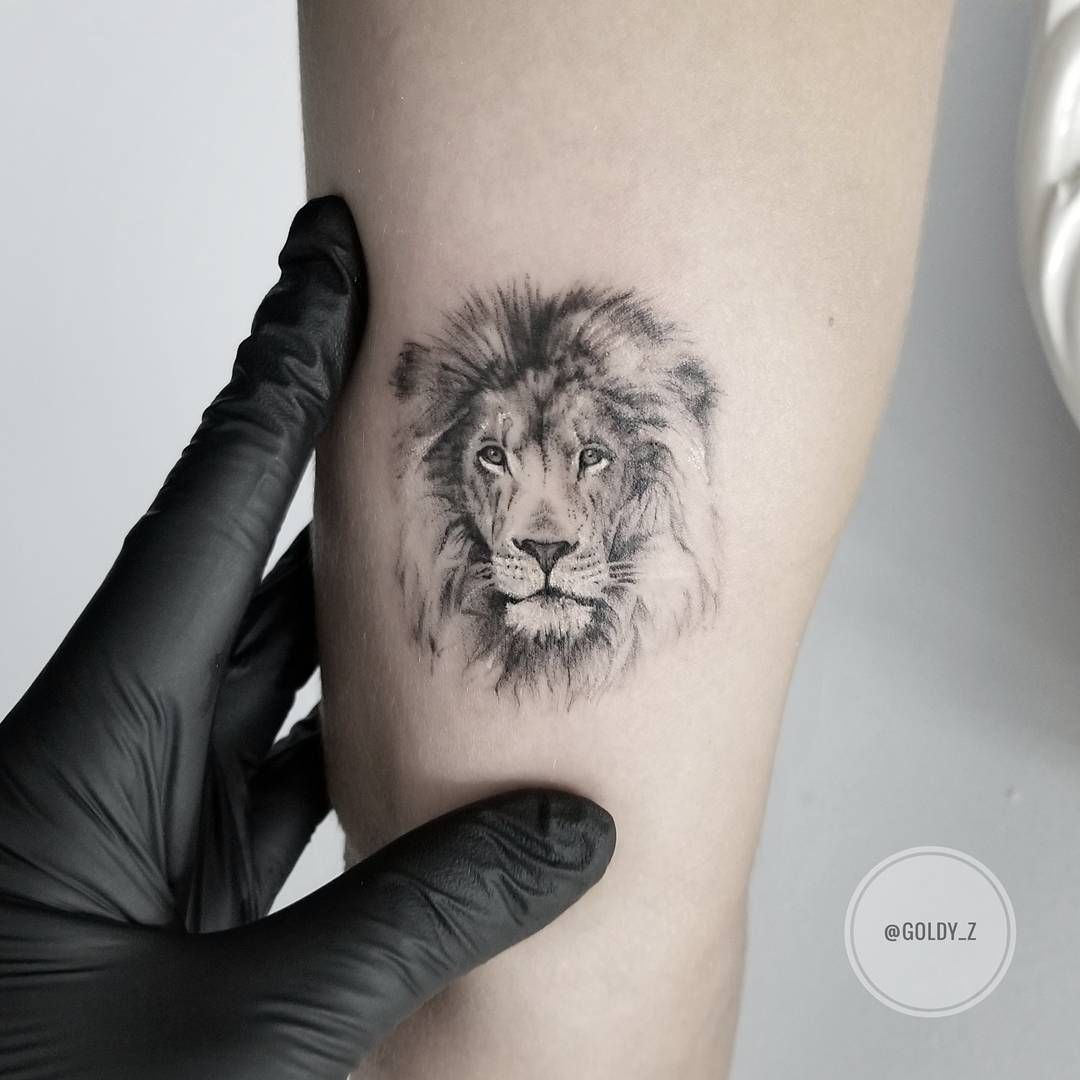 78 Lion Tattoo Ideas Which You Like July 2019 Lion Tattoo in proportions 1080 X 1080