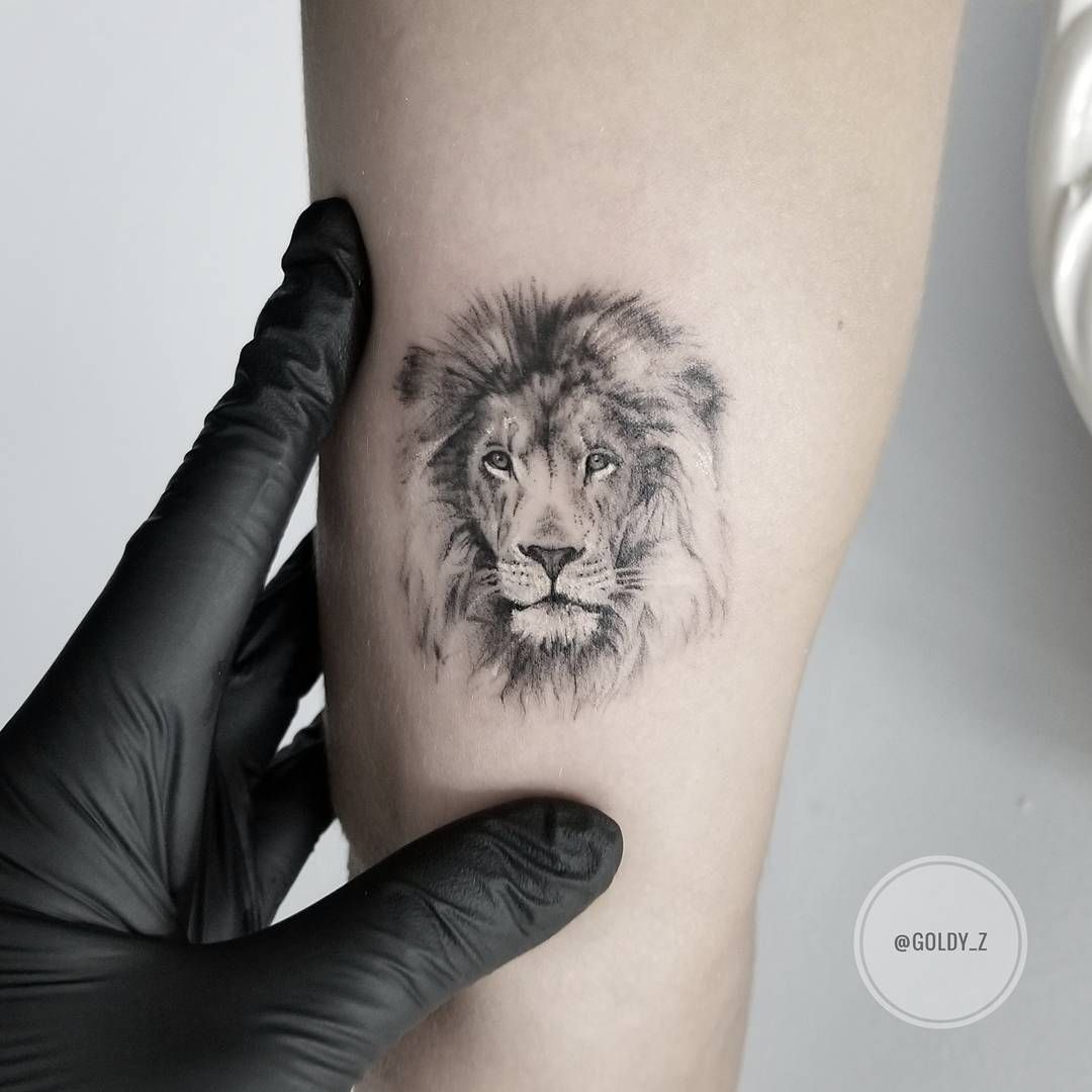 78 Lion Tattoo Ideas Which You Like July 2019 Lion Tattoo with dimensions 1080 X 1080