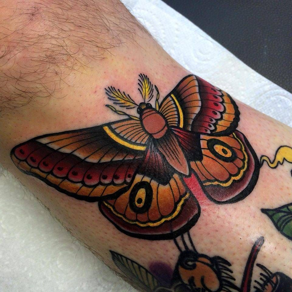 A American Traditional Tattoos Moth Tattoo Tattoos Traditional intended for measurements 960 X 960