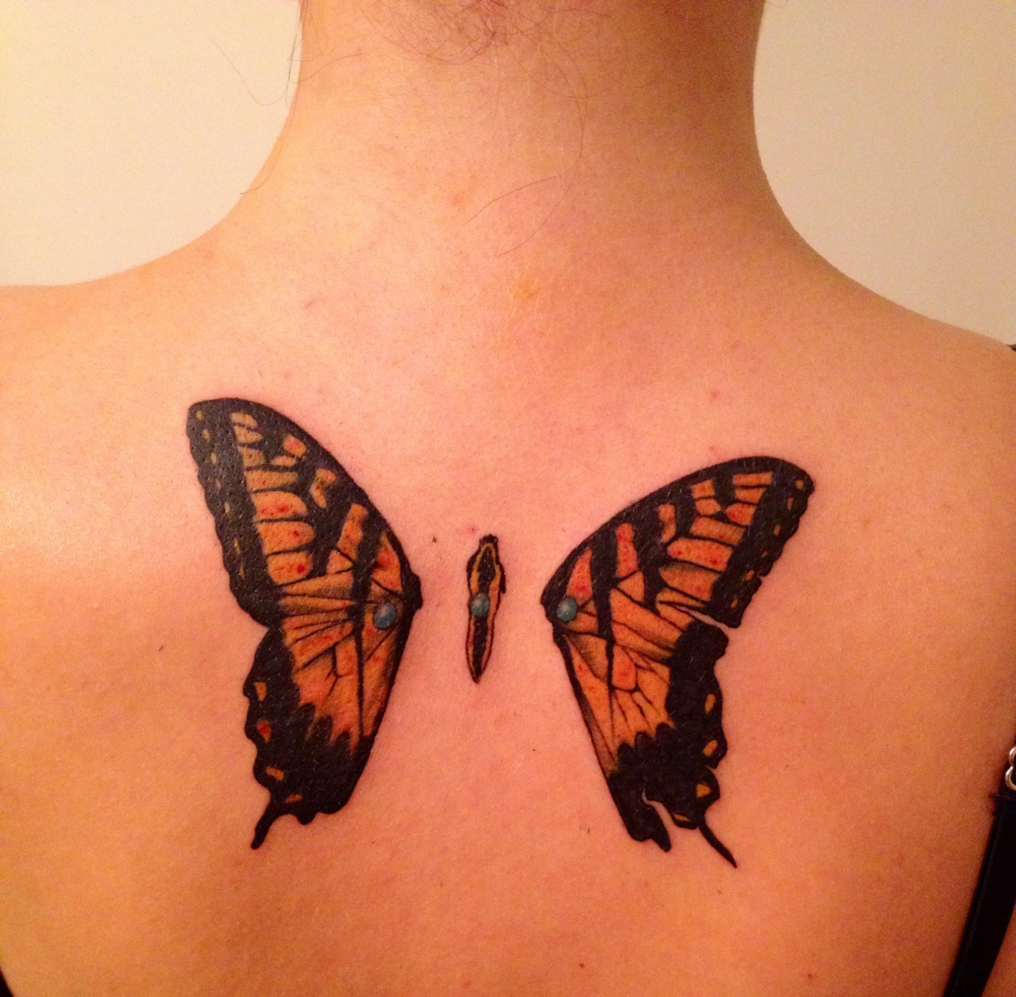 A Beauty Half Betrayed Butterflies With Punctured Wings Paramore pertaining to dimensions 2047 X 2009