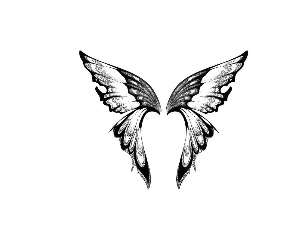 Amazing Black Butterfly Wings Tattoo Design Wing Butterfly Tattoo for dimensions 1024 X 768