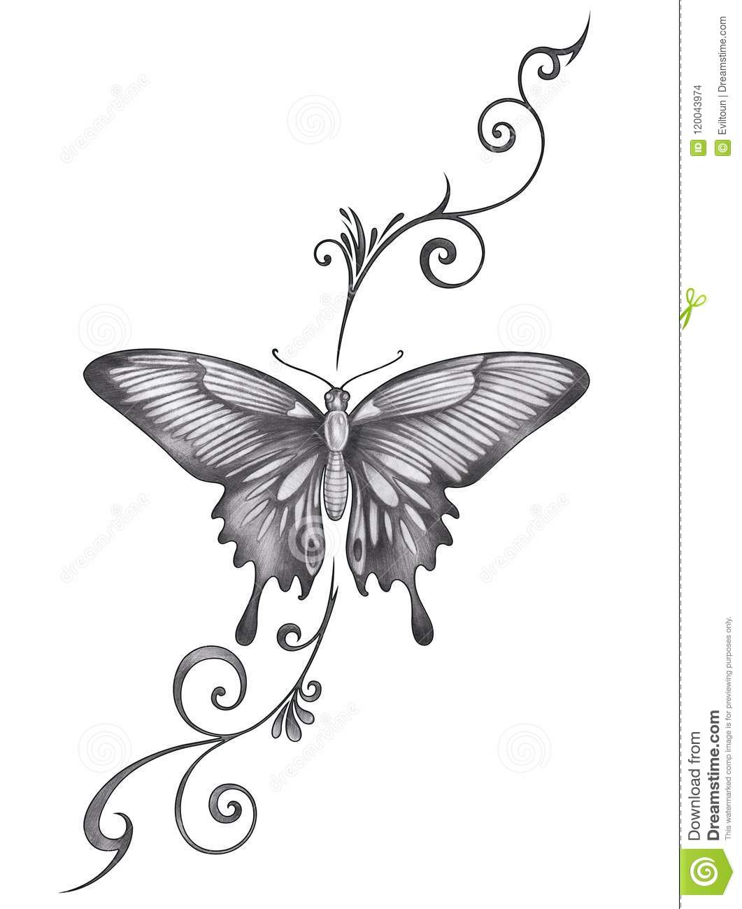 Art Butterfly Tattoo Stock Illustration Illustration Of Background inside size 1061 X 1300