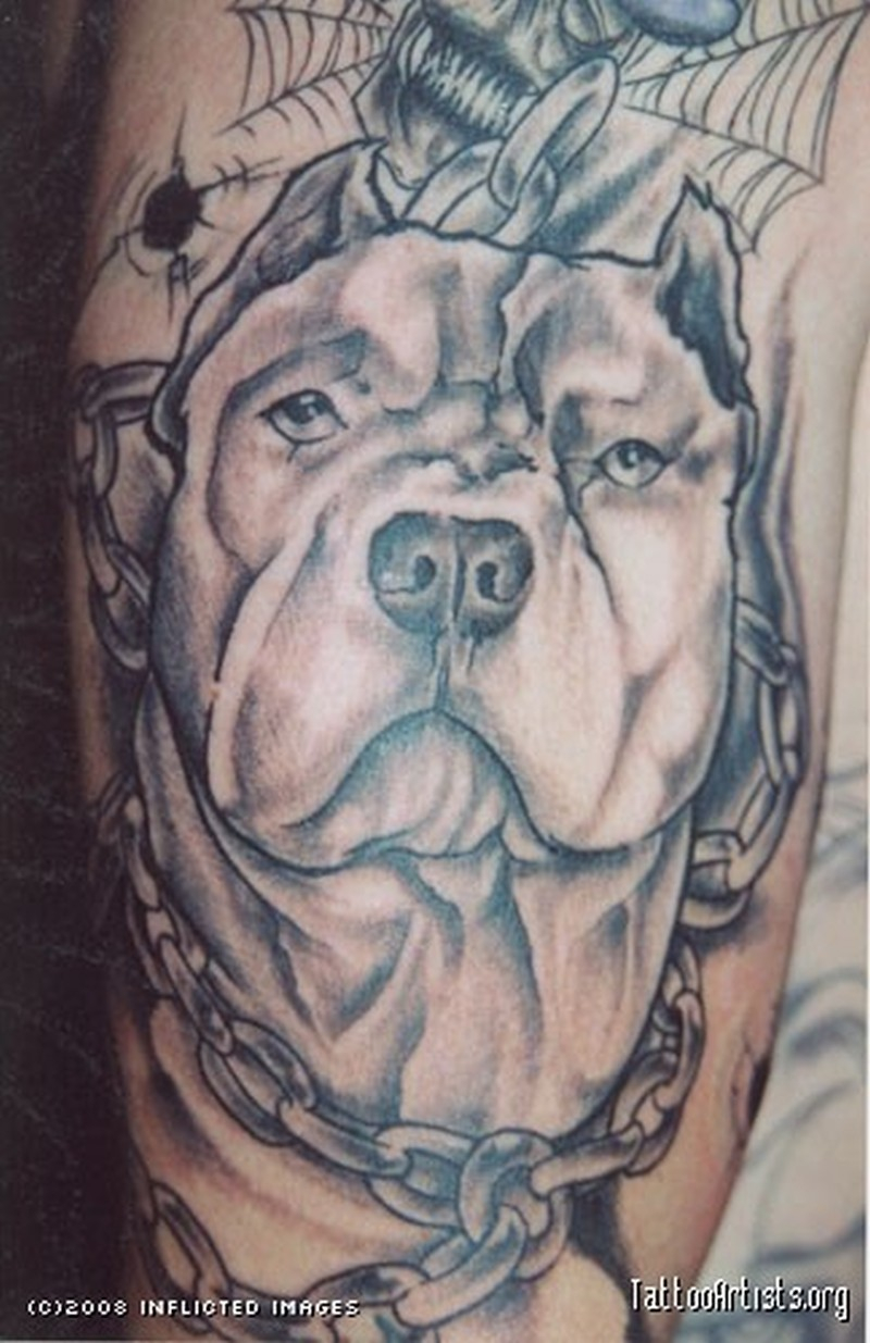 Awesome Pitbull Dog Design Tattoo Tattoos Book 65000 Tattoos with proportions 800 X 1235