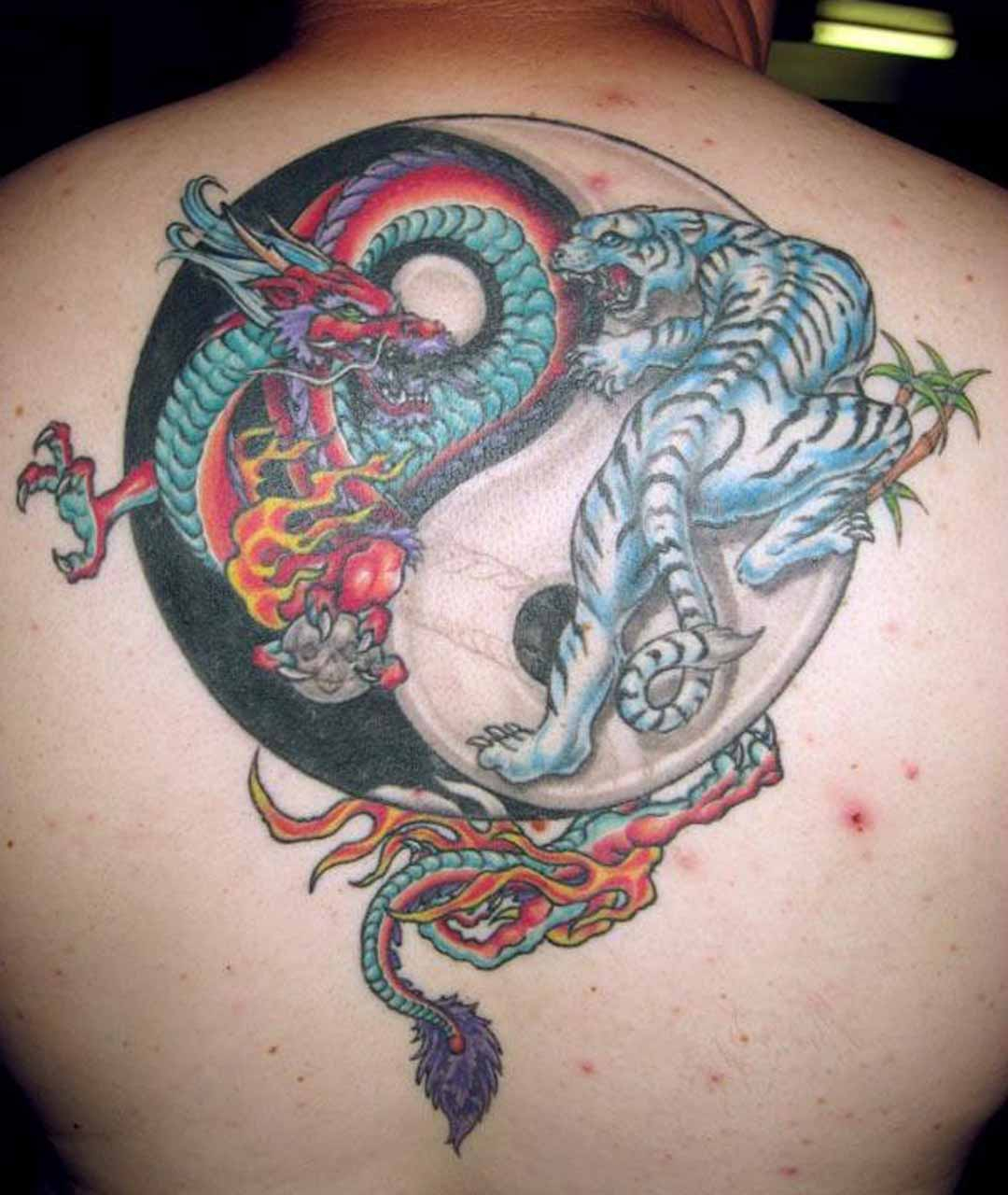 Awesome Yin Yang Images Part 2 Tattooimagesbiz inside size 1080 X 1280