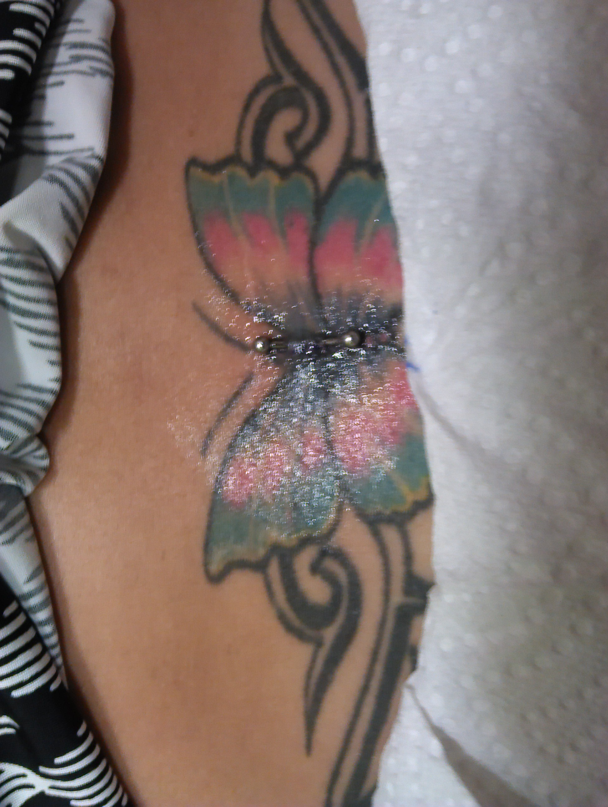 Back Piercing On Butterfly Tattoo Tattoo with regard to proportions 1952 X 2592