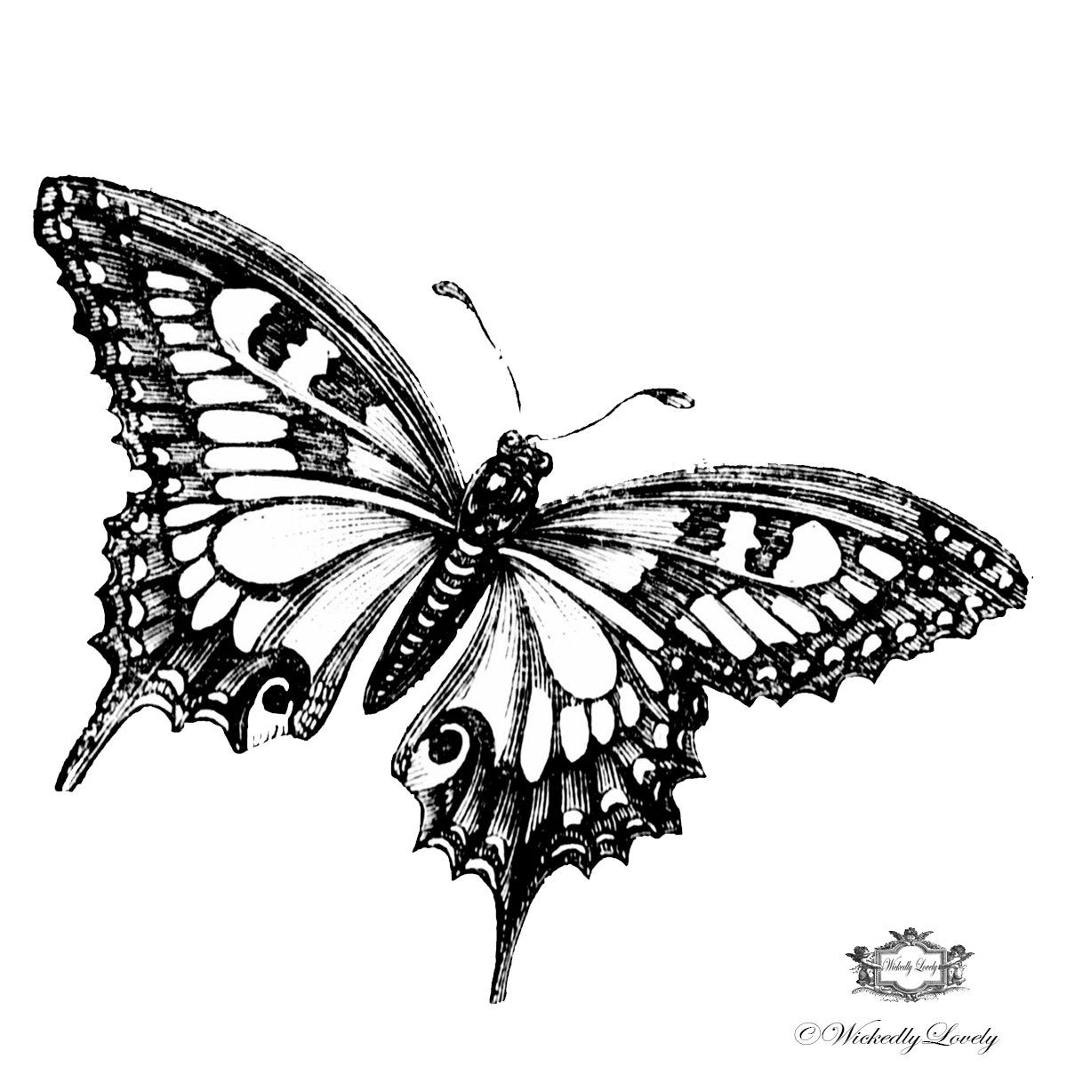 Beautiful Black And White Butterfly Butterfly Tattoo Body Etsy inside proportions 1200 X 1200