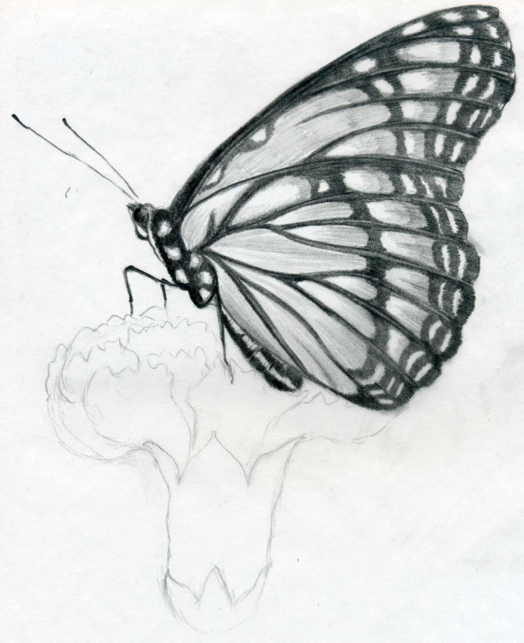 Beautiful Butterfly Sitting On Flowers Tattoo intended for sizing 1040 X 1276
