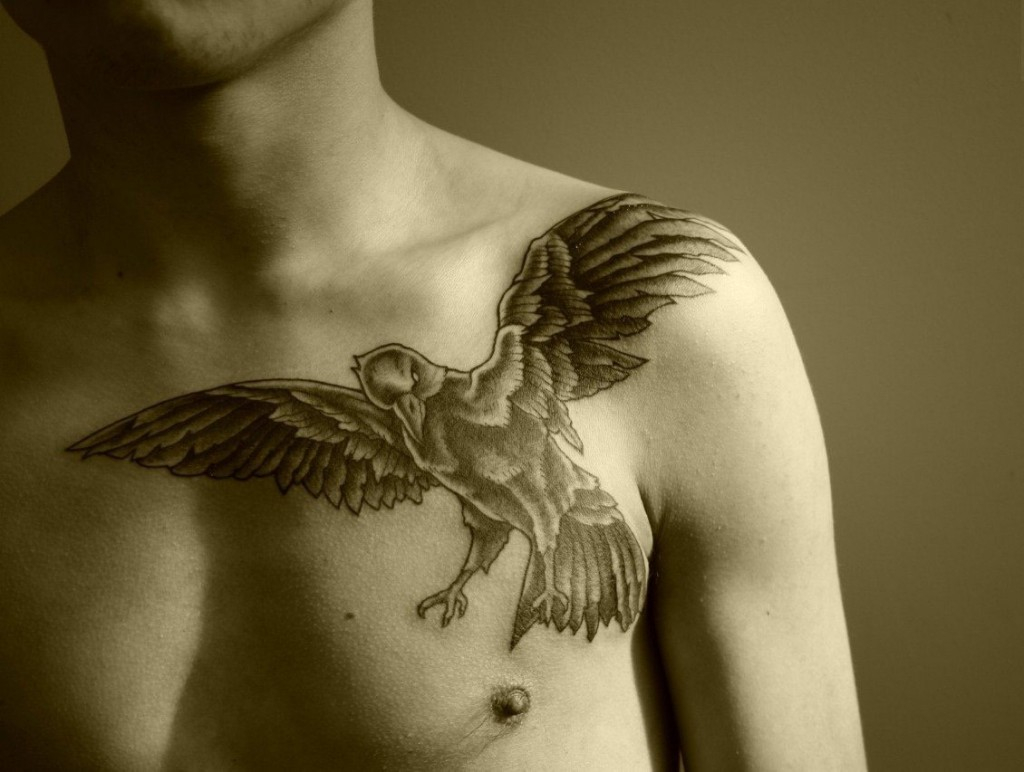 Bird Chest Tattoo Designs Ideas And Meaning Tattoos For You regarding size 1024 X 772