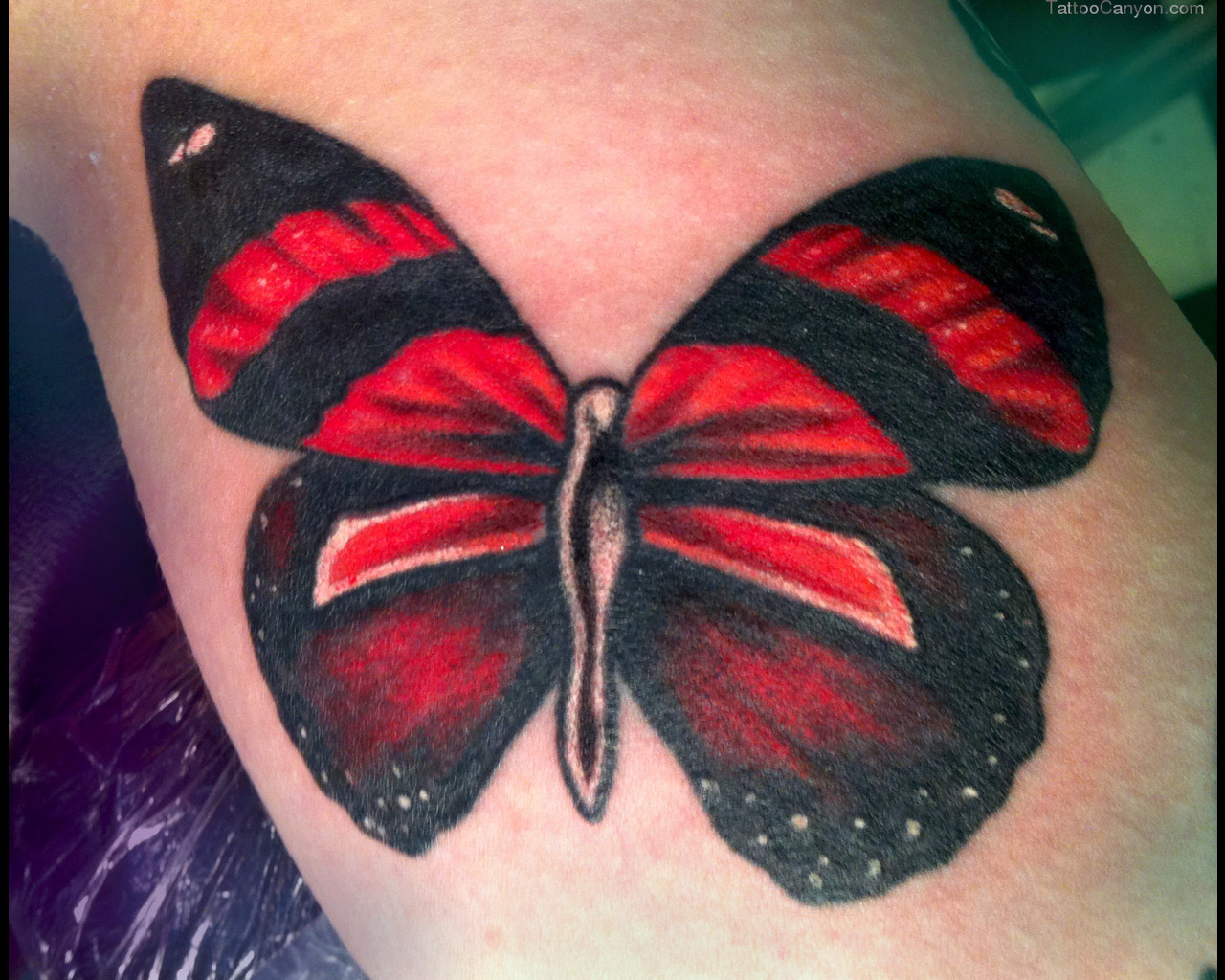 Black And Lovely Red Butterfly Tattoo Tattoomagz Tattoo with size 1280 X 1024