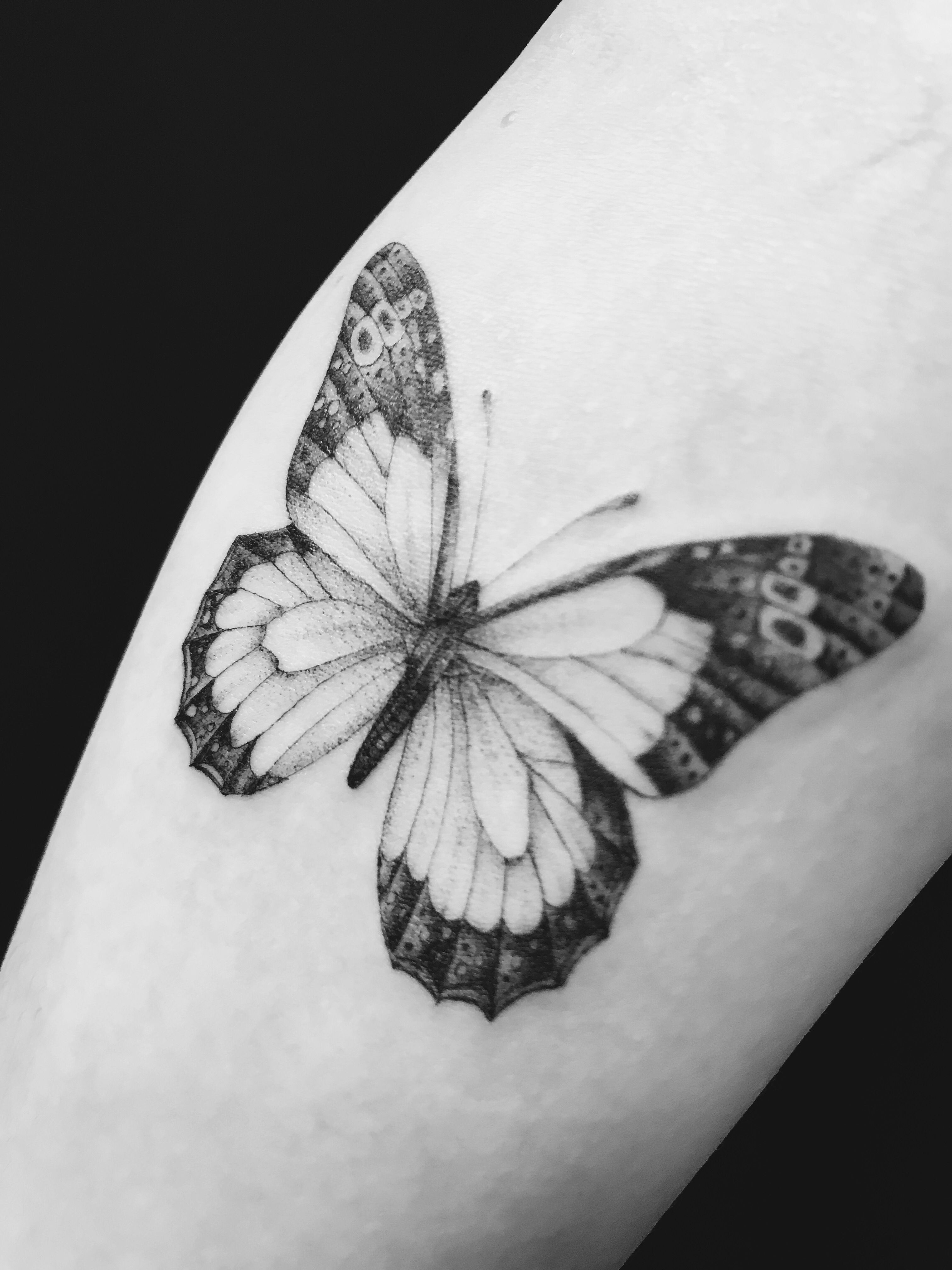 Black And White Single Needle Butterfly Tattoo Tattoo Stuffs inside size 3024 X 4032
