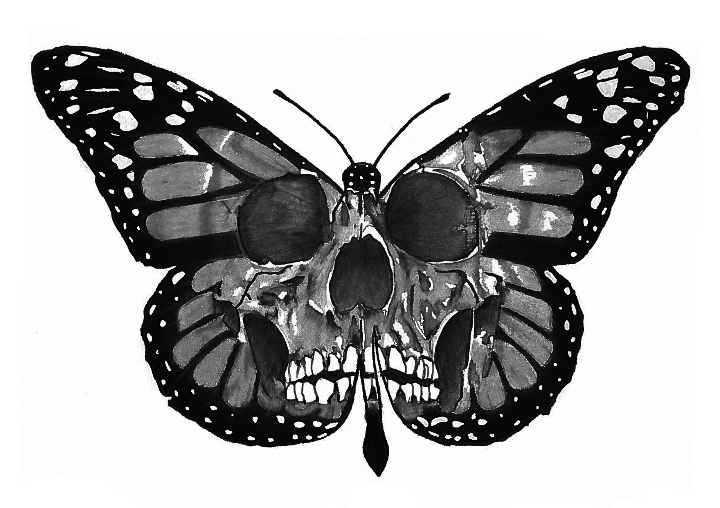 Black And White Tattoo Design Of A Butterfly Skull Pencil On Paper for sizing 2480 X 1753