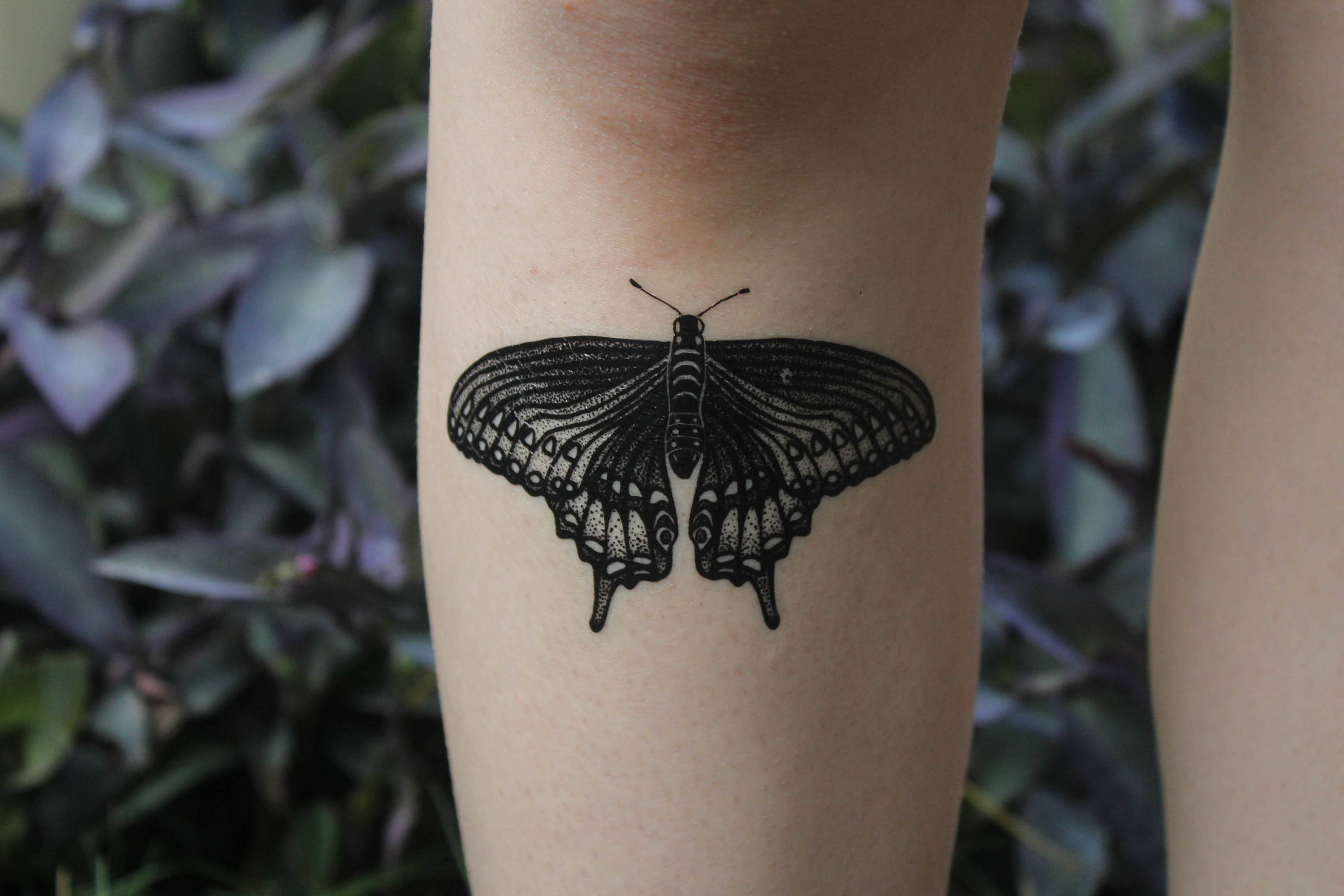 Black Swallowtail Butterfly Temporary Tattoo Black Line Etsy intended for sizing 3000 X 2000